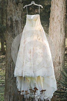 Vintage wedding gown hangs from a tree