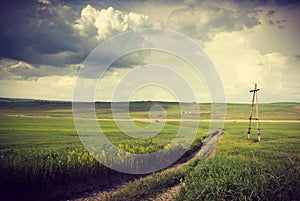 Vintage Wheat Field with Dirt Road