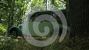 Vintage white car with black On an asphalt road in a green forest