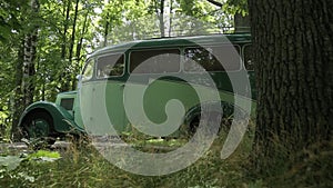 Vintage white car with black On an asphalt road in a green forest