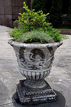 Vintage White Decorative Plant Pot on Sidewalk