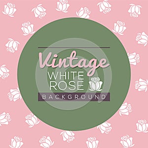 Vintage White Roses Background.