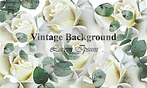 Vintage white roses background Vector. Retro floral designs