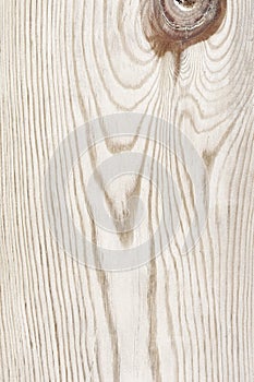 Vintage white wood natural pattern. Pine planed boards texture use as background