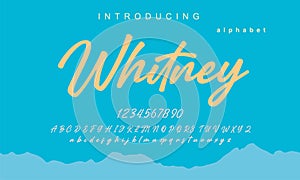 Vintage Whitney Calligraphy Letters: A Decorative Typeface Collection