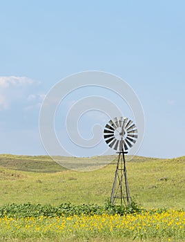 Vintage Windmill on a Prairie Surrounded by Native Sunflowers in the Sandhills of Nebraska