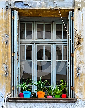 Vintage Window with Beautiful Colorful Potted Houseplants on thr Sill. Old House in Heraclion, Crete Island, Greece