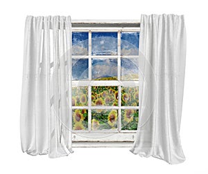 Vintage window with white curtains isolated seeing sunflowers field