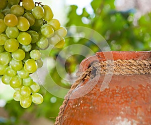 Vintage wine jug and grape