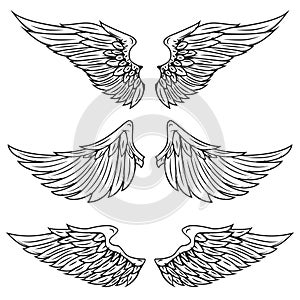 Vintage wings isolated on white background.