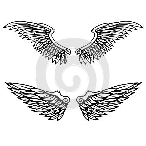 Vintage wings isolated on white background.