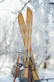 Vintage Winter Ski Tips