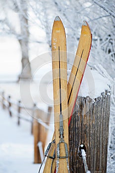 Vintage Winter Ski Tips