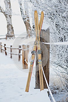 Vintage Winter Skis