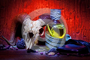 Vintage witchcraft still life with snake cobra and skulls.