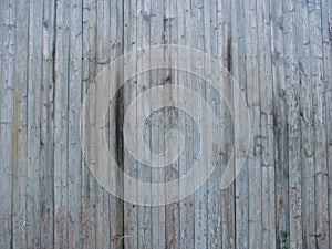 vintage wood background texture with knots