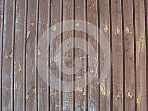 vintage wood background texture with knots