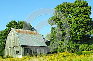 Vintage wood barn with metal gambrel roof photo