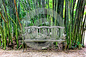 The vintage wood bench with bamboo