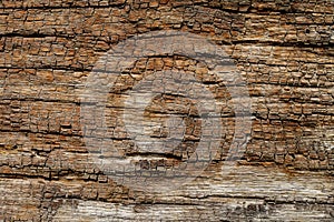 Vintage wood texture, abstract background, grunge