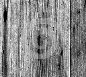 Vintage wood texture in black and white photo