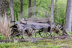 Vintage wood wagon falling apart