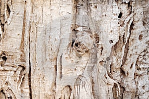 Vintage wood wall texture with nature cracked patterns light brown background