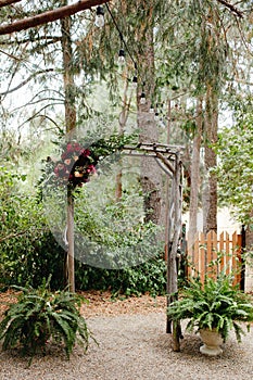 Vintage wooden arch wtih red and pink roses - outdoor wedding ceremony location in coniferous forest wtih classic bentwood chairs