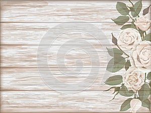 Vintage wooden background white rose bud