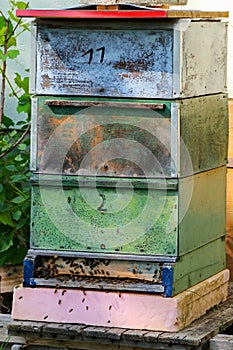 Vintage wooden beehive boxes