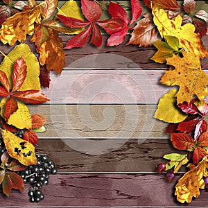 Vintage wooden board with autumn colorful leaves and berries