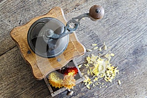 Vintage wooden coffee mill grinder