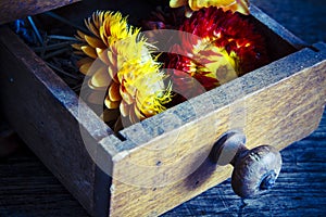 Vintage wooden coffee mill grinder with yellow flowers in open drawer