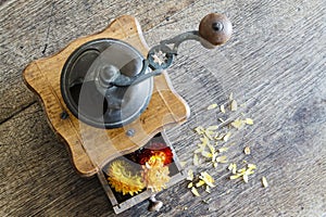 Vintage wooden coffee mill grinder with yellow flowers in open drawer