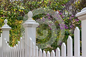 Vintage wooden fence along a residential garden