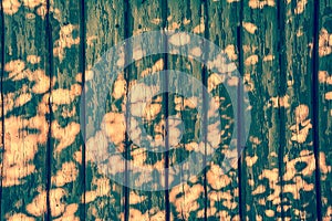 Vintage wooden planks background with spots