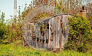 Vintage wooden railway wagon derelict captured by vegetation
