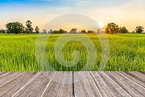 Vintage wooden texture with rice field in the morning