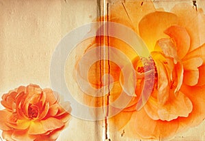 Vintage Yellow Rose Collage Antique Book