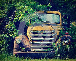 Vintage Yellow Truck in Bushes