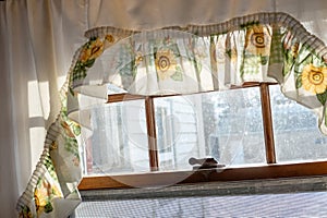 vintage yellow and white curtains in old farmhouse kitchen window