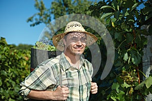 Vintager wearing full of grapes