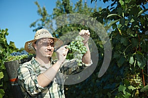 Vintager wearing full of grapes