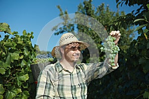 Vintager wearing full of grapes