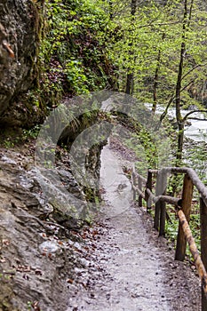 Vintagr gorge - Slovenia