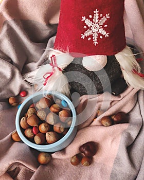 Vinter gnome and nuts