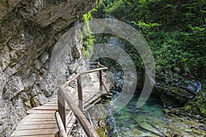 Vintgar gorge amazing cayon with river, rocks and nature, wooden foodpaths leads through wild natural reserve