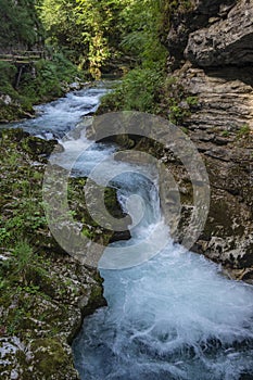 Vintgar gorge amazing cayon with river, rocks and nature, wooden foodpaths leads through wild natural reserve