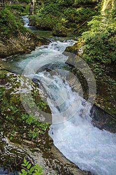 Vintgar gorge amazing cayon with river, rocks and nature, wooden foodpaths leads through wild natural reserve