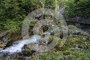 Vintgar gorge amazing cayon with river, rocks and nature, wooden foodpaths leads through wild natural reserve